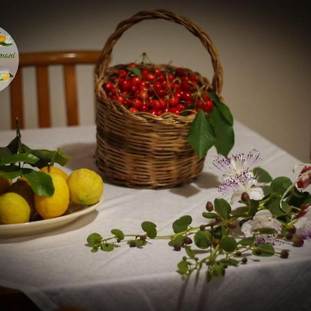 Апартаменти Zagare E Limoni Остуні Екстер'єр фото
